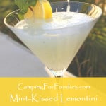 Mint-Kissed Lemontini - Camping For Foodies .com