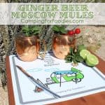 Ginger Beer Moscow Mules - It’s a bold ginger spice flavor explosion in a copper mug! - One of the most perfect summertime camping drink recipes! - Camping For Foodies .com