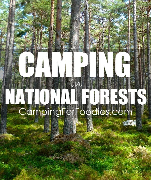 Camping In National Forests - Camping For Foodies .com