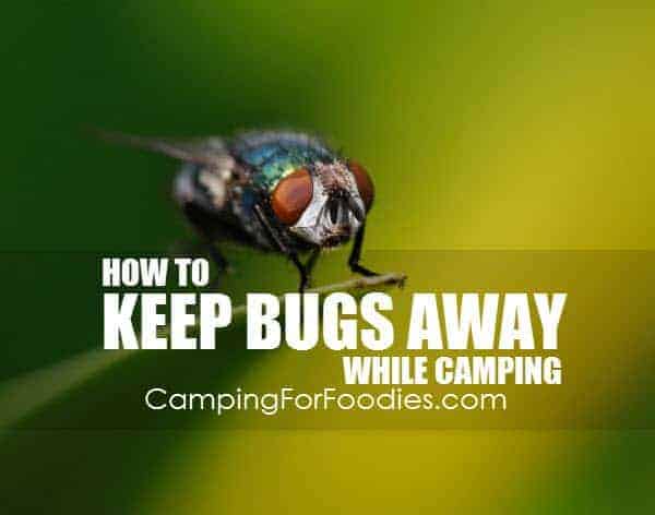 How To Keep Bugs Away While Camping - Camping For Foodies .com