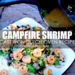 Asian Inspired Cast Iron Dutch Oven Campfire Shrimp Recipe by CampingForFoodies