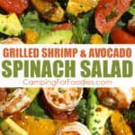 Grilled Shrimp And Avocado Spinach Salad by CampingForFoodies features a plate full of green spinach that is topped with grilled shrimp and slices of green avocado, juicy orange segments and succulent ruby red grapefruit segments covered with a fresh dressing made with red onion, poppy seeds, sesame seeds, olive oil and balsamic vinegar then sprinkled with fresh chives. The text over the image reads grilled shrimp and avocado spinach salad.