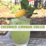 Cucumber Lemonade Chiller by CampingForFoodies features an icy-cold and refreshing cocktail glass sitting on a log in the shade at a campsite, the glass is filled with a mixture of fresh lemonade that has been muddled with cucumber and mint then shaken in a martini shaker and strained into a glass with a straw and garnish of lemon and cucumber wedges and a mint sprig with text over the image that reads Cucumber Lemonade Chiller.