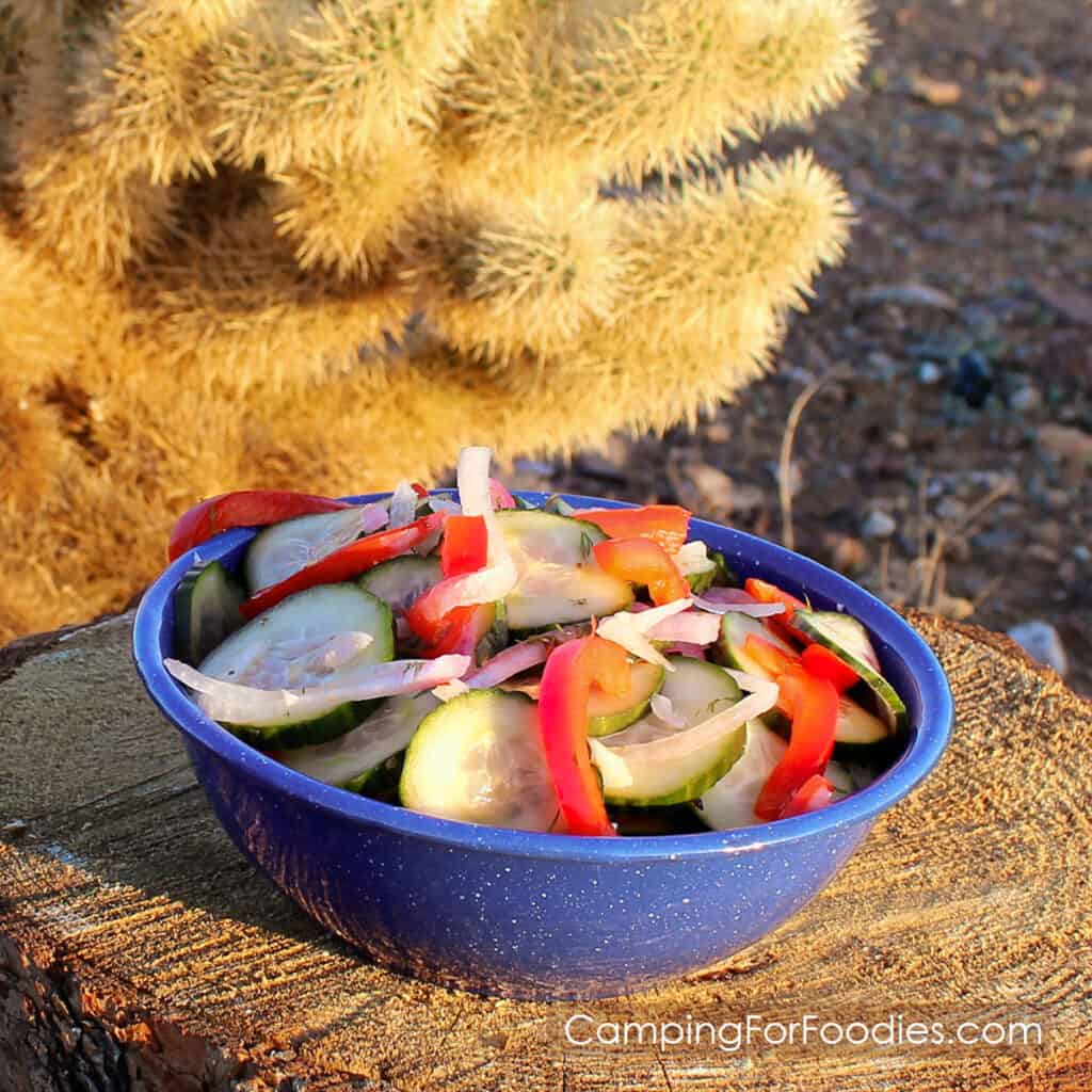 Refrigerator Cucumber Salad by CampingForFoodies features a blue camping bowl on a tree stump filled with cold sliced vegetables including green English cucumbers, red onions and red bell peppers tossed in a simple homemade dressing with fresh dill.