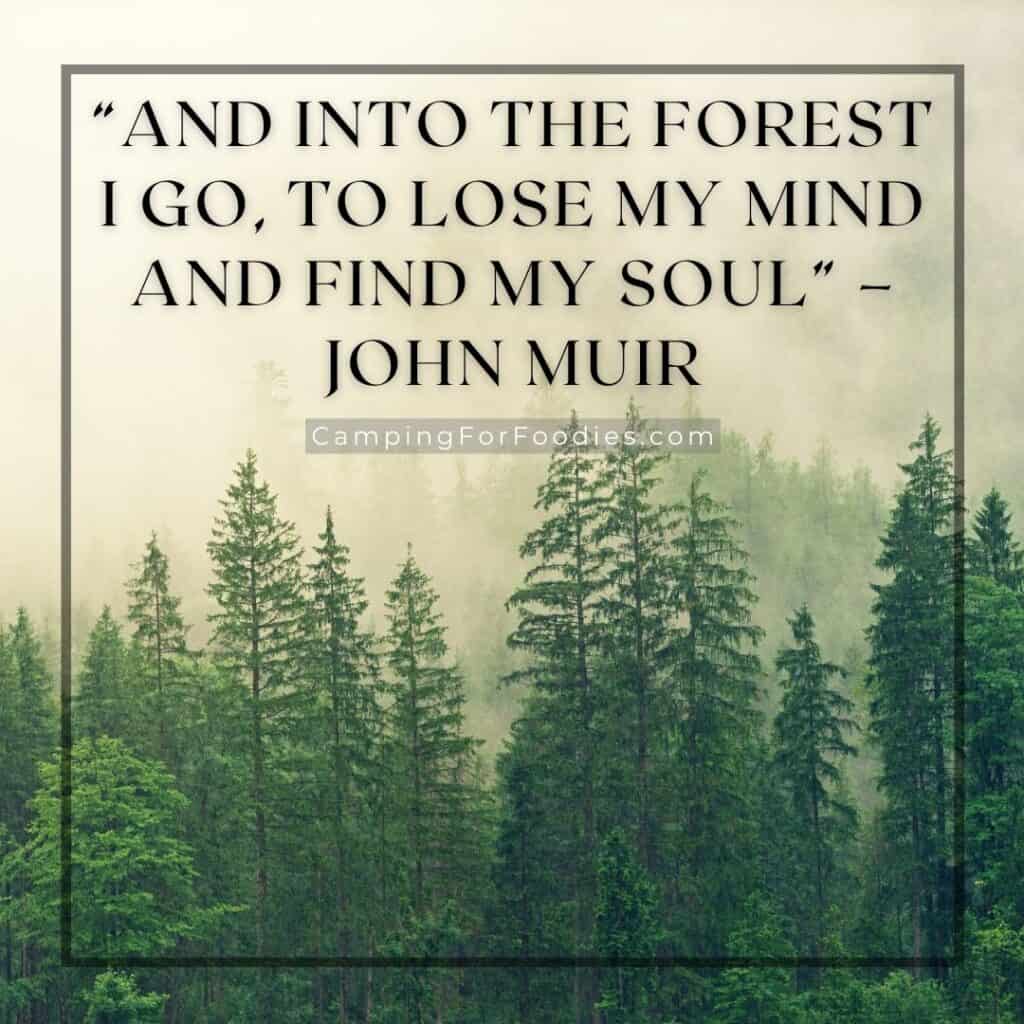 And into the forest I go by CampingForFoodies features John Muir's quote, and into the forest I go, to lose my mind and find my soul, with a background of tall green trees in a forest with a sky filled with heavy fog.