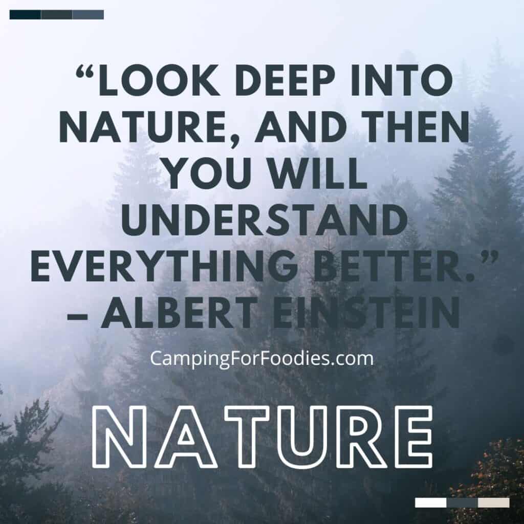 Look deep into nature by CampingForFoodies features Altert Einstein's quote, look deep into nature, and then you will understand everything better, against a background of a hillside of evergreen trees in dense fog.