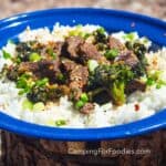 Beef And Broccoli Freezer Meal by CampingForFoodies features a blue camping plate filled with beef flank steak, green broccoli florets, sliced green onions and sprinkled with hot red pepper flakes. The meat and veggies are surrounded by a bed of white, fluffy rice. The plate is set on a campfire log outside on a bright, sunny day.